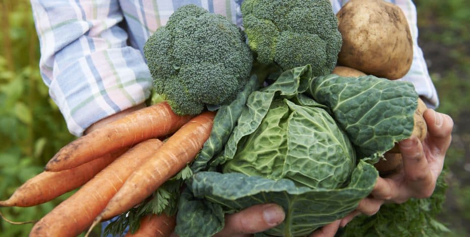 Fresh Produce